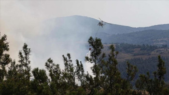 Фотография к новости: Түркияның бірнеше өңірінде ормандар өртке оранды