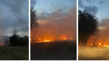 Фотография к новости: Алматы облысында тас жолдың бойында құрғақ шөп өртенді