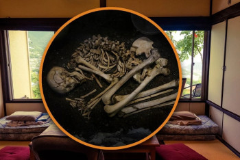 Фотография к новости: Пәтердегі қаңқа: ер адам анасының сүйегін 10 жыл әжетханада ұстаған