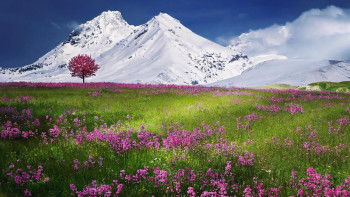 Фотография к новости: Сүйіктісін ұмыту үшін тауға кеткен ғашық жігіт алты күннен кейін табылды