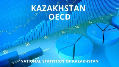 ЭЫДҰ Қазақстанның статистикалық жүйесін жоғары бағалады