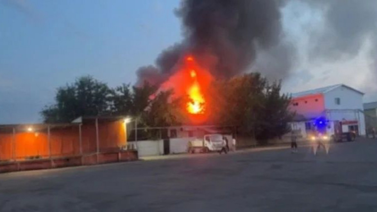  видеодан алынған кадр