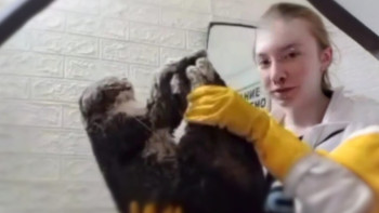 Фотография к новости: Риддерлік қыздың мұздатылған мысықпен түсірген видеосы жұртты шошытты