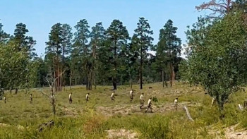 Фотография к новости: Абай облысында ер адам алты күннен бері табылмай жатыр