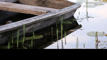 Фотография к новости: Ертіс өзенінде балықшылар қайықтан аударылып кетті