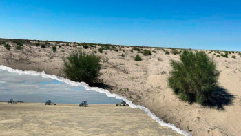 Фотография к новости: Сексеуіл Аралдың құрғаған табанын экоапаттан құтқара ала ма?