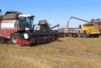 Қазақстан астық пен ұн экспортын Әзербайжанға 120 есеге арттырды