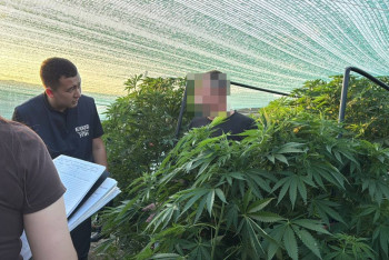 БҚО тұрғыны жасырын жылыжайда есірткі өсірген