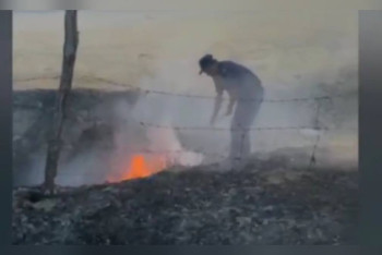 Түркістан облысында полицейлер алма бағындағы өрттің алдын алды