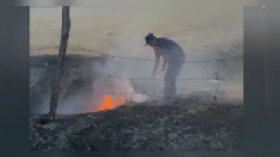 Түркістан облысында полицейлер алма бағындағы өрттің алдын алды