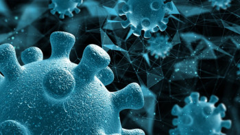 Фотография к новости: Италияда Батыс Ніл вирусынан 10 адам көз жұмды