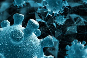 Фотография к новости: Италияда Батыс Ніл вирусынан 10 адам көз жұмды