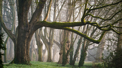 Сейсенбіде еліміздің басым бөлігінде дауылды ескерту жарияланды
