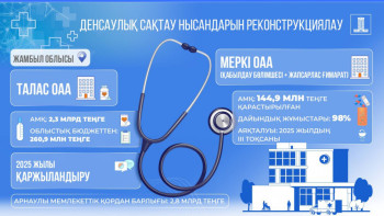 Фотография к новости: Жамбыл облысындағы ауруханалар Арнаулы мемлекеттік қор қаржысынан жөнделеді