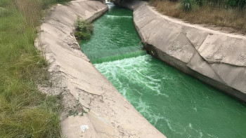 Фотография к новости: Алматыда Қарғалы өзені жасыл түске енді: кінәлілер іздестіріліп жатыр