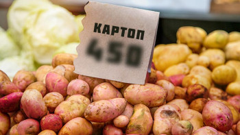 Фотография к новости: Картоп бағасы қайта қымбаттай ма? – Министрлік жауабы