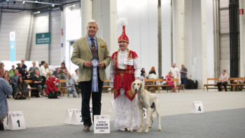 Фотография к новости: Дүниежүзілік иттер көрмесінде қазақ тазылары алғаш рет әлемге таныстырылды