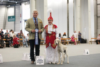 Фотография к новости: Дүниежүзілік иттер көрмесінде қазақ тазылары алғаш рет әлемге таныстырылды