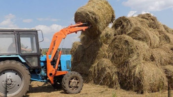 Фотография к новости: Қазақстанда 20 млн тоннадан астам мал азығы дайындалды
