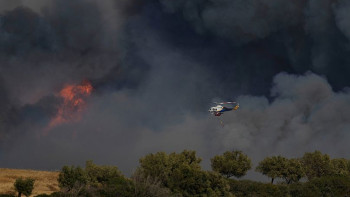 Фотография к новости: Рекордтық ыстық: Еуропаның оңтүстігінде орман өрті өршіп тұр