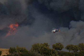 Фотография к новости: Рекордтық ыстық: Еуропаның оңтүстігінде орман өрті өршіп тұр