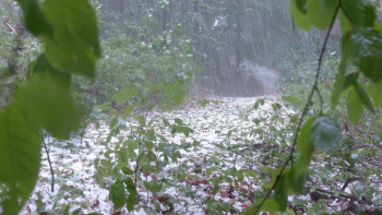 Фотография к новости: Бұршақ, дауыл: 16 облыста ескерту жарияланды