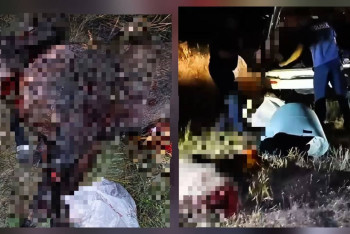 Фотография к новости: Батыс Қазақстанда екі қабанды атып алған ер адам қолға түсті