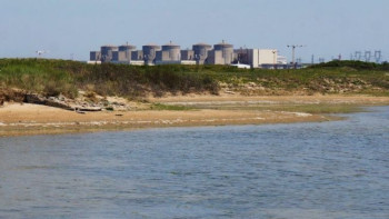 Фотография к новости: Франциядағы ең ірі АЭС медузалар кесірінен жұмысын тоқтатты