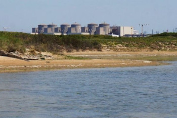 Фотография к новости: Франциядағы ең ірі АЭС медузалар кесірінен жұмысын тоқтатты