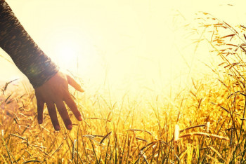 Фотография к новости: Британдық әйел клиникалық өлім кезінде не көргенін айтты