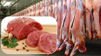 Фотография к новости: Етпен айналысатын кәсіпорындарға 44 млрд теңге беріледі