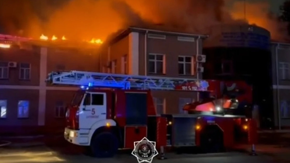  видеодан кадр