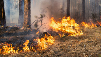 Фотография к новости: Еуропада орман өрті өршіп тұр: бірнеше ел халықаралық көмекке жүгінді