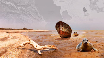 Фотография к новости: Құрғаған ұлтан мен тұзды шаң: ғалымдар Каспийдің болашағына болжам жасады