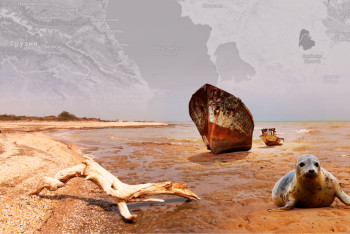 Фотография к новости: Құрғаған ұлтан мен тұзды шаң: ғалымдар Каспийдің болашағына болжам жасады