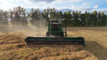 Фотография к новости: Қостанай облысында егін жинау науқаны басталды
