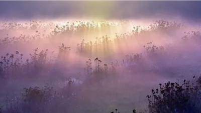 "Бұршақ, тұман, қатты жел". Ертең 17 өңірде дауылды ескерту жарияланды