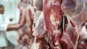 Фотография к новости: Қазақстаннан Түрікменстанға бруцеллез ет жеткізілгені рас па? – министрлік жауап берді