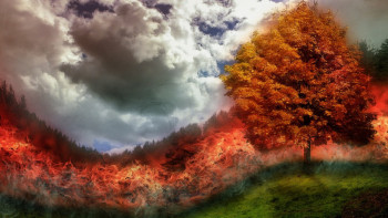 Фотография к новости: Еуропаның оңтүстігінде орман өрті өршіп барады