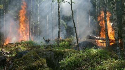 Түркияның батысында орман өртеніп жатыр