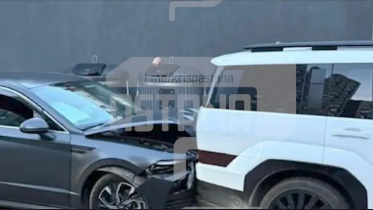  видеодан кадр