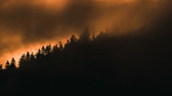 Фотография к новости: Өрт қаупі жоғары: синоптиктер ескерту жариялады