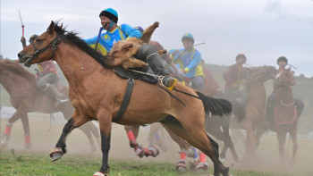 Фотография к новости: Көкпардан жасөспірімдер арасында Қазақстан чемпионаты өтіп жатыр