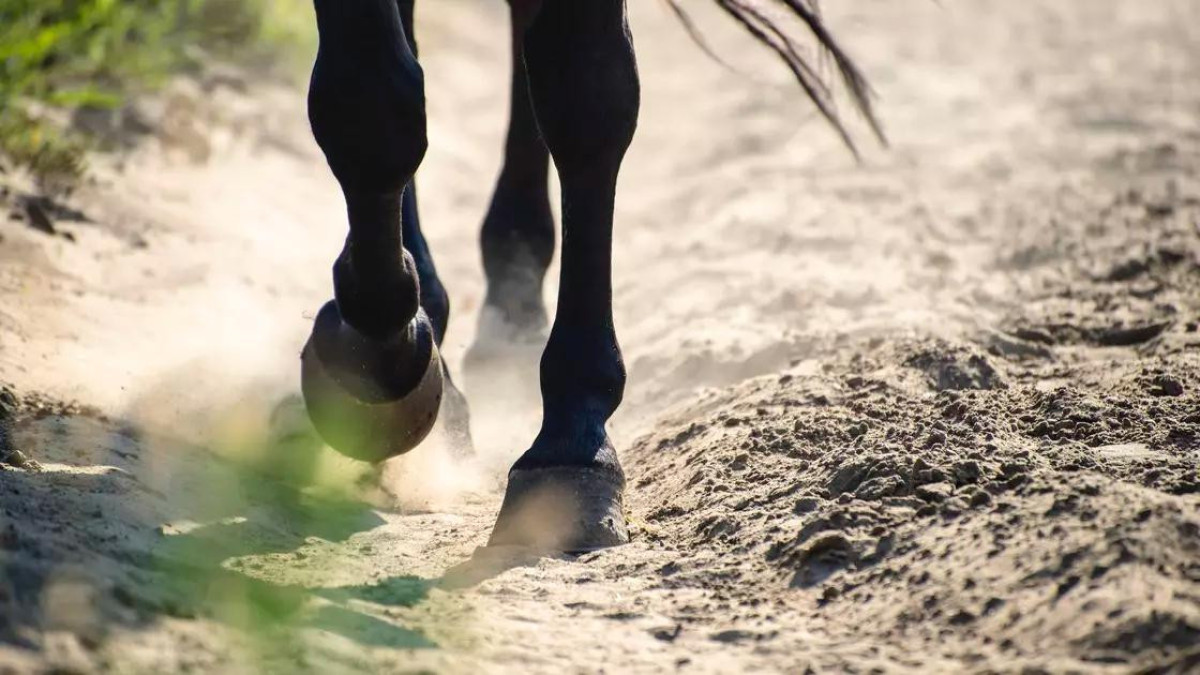  Zuberka / Getty Images