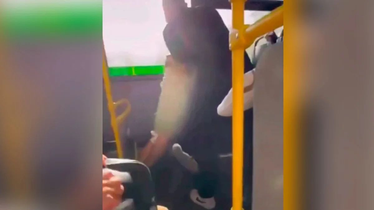  Видеодан кадр