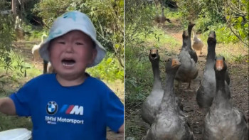 Фотография к новости: Қаздан қашқан бала: Америкалық рэпер 3 жасар қазақ баласының видеосын жариялады