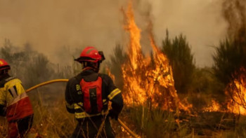 Фотография к новости: Орман өрті: Испанияда өрт қойды деген күдікпен 37 адам ұсталды