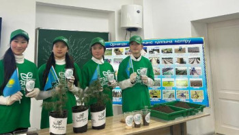 Фотография к новости: Президент тапсырмасы: Алматы облысында 76 мыңнан астам ағаш егілді