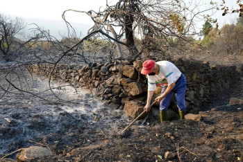 Фотография к новости: Антирекорд: Еуропа өрт салдарынан Кипр аумағына тең жерінен айырылды