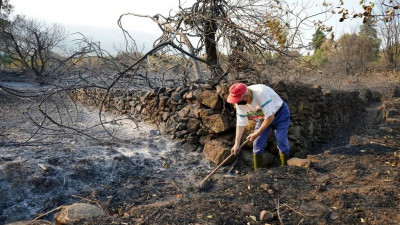 Антирекорд: Еуропа өрт салдарынан Кипр аумағына тең жерінен айырылды
